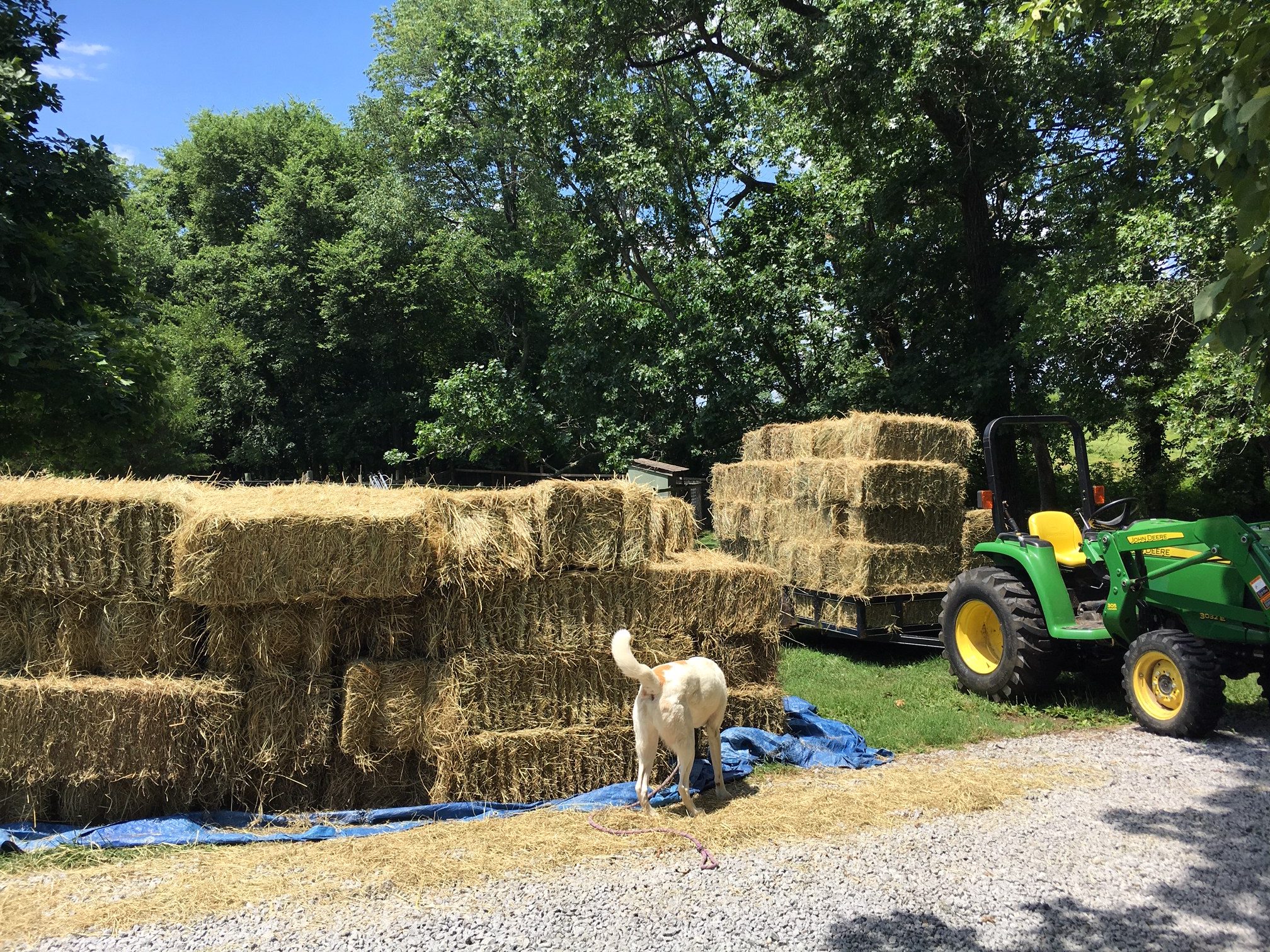 the-hay-is-in-the-barn-lowerpondfarm